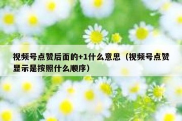 视频号点赞后面的+1什么意思（视频号点赞显示是按照什么顺序）