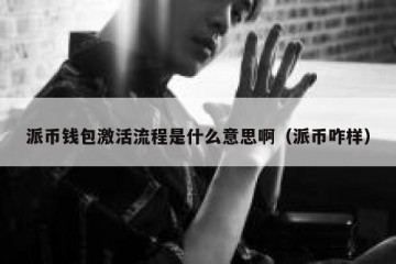 派币钱包激活流程是什么意思啊（派币咋样）