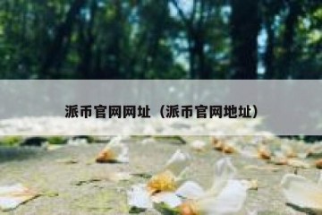 派币官网网址（派币官网地址）