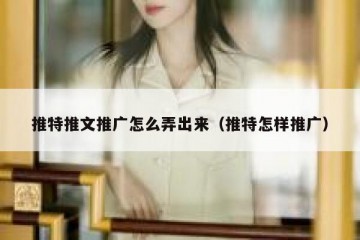 推特推文推广怎么弄出来（推特怎样推广）