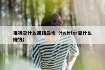 推特卖什么赚钱最快（twitter靠什么赚钱）
