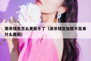派币钱包怎么更新不了（派币钱包加载不出来什么原因）