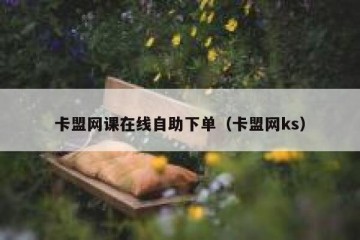 卡盟网课在线自助下单（卡盟网ks）