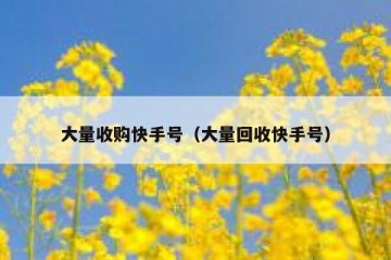 大量收购快手号（大量回收快手号）
