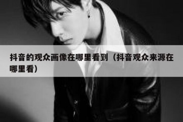 抖音的观众画像在哪里看到（抖音观众来源在哪里看）