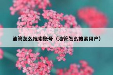 油管怎么搜索账号（油管怎么搜索用户）