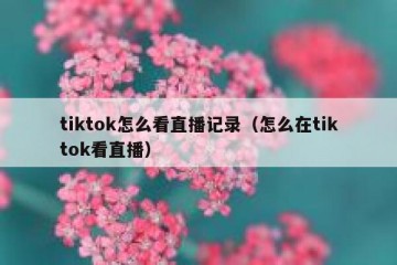 tiktok怎么看直播记录（怎么在tiktok看直播）
