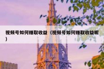 视频号如何赚取收益（视频号如何赚取收益呢）