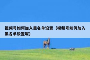 视频号如何加入黑名单设置（视频号如何加入黑名单设置呢）