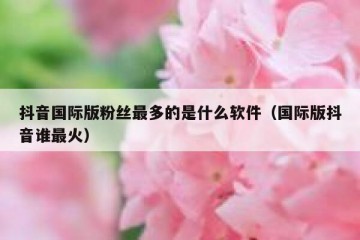 抖音国际版粉丝最多的是什么软件（国际版抖音谁最火）