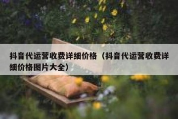 抖音代运营收费详细价格（抖音代运营收费详细价格图片大全）