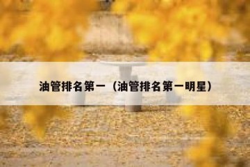 油管排名第一（油管排名第一明星）
