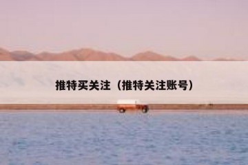 推特买关注（推特关注账号）