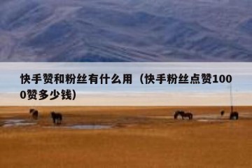 快手赞和粉丝有什么用（快手粉丝点赞1000赞多少钱）