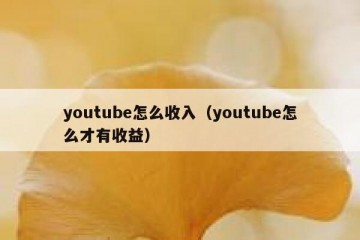 youtube怎么收入（youtube怎么才有收益）