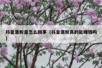 抖音涨粉是怎么回事（抖音涨粉真的能赚钱吗）