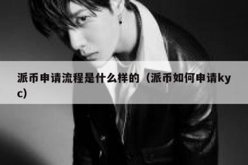 派币申请流程是什么样的（派币如何申请kyc）