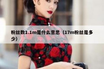 粉丝数1.1m是什么意思（17m粉丝是多少）