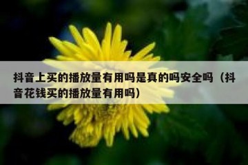 抖音上买的播放量有用吗是真的吗安全吗（抖音花钱买的播放量有用吗）