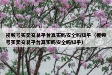 视频号买卖交易平台真实吗安全吗知乎（视频号买卖交易平台真实吗安全吗知乎）