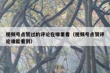 视频号点赞过的评论在哪里看（视频号点赞评论谁能看到）