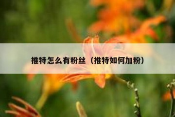推特怎么有粉丝（推特如何加粉）