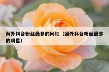海外抖音粉丝最多的网红（国外抖音粉丝最多的明星）