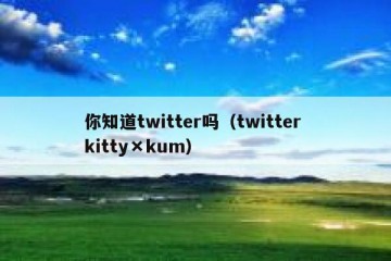 你知道twitter吗（twitter kitty×kum）