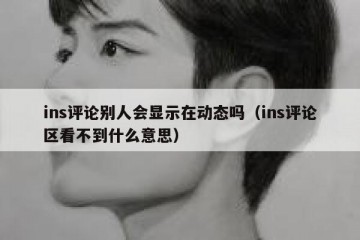 ins评论别人会显示在动态吗（ins评论区看不到什么意思）