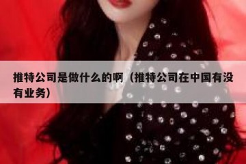 推特公司是做什么的啊（推特公司在中国有没有业务）