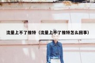 流量上不了推特（流量上不了推特怎么回事）