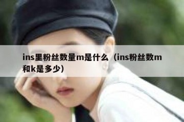 ins里粉丝数量m是什么（ins粉丝数m和k是多少）