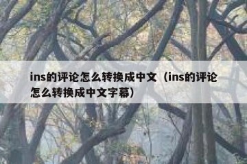 ins的评论怎么转换成中文（ins的评论怎么转换成中文字幕）