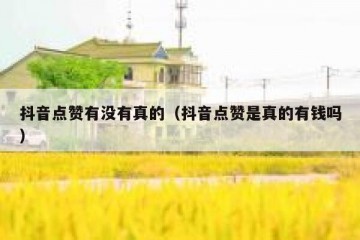 抖音点赞有没有真的（抖音点赞是真的有钱吗）
