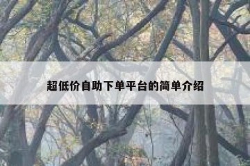 超低价自助下单平台的简单介绍