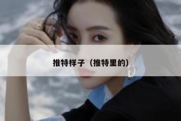 推特样子（推特里的）