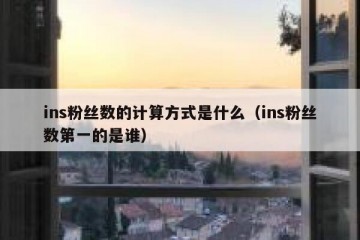 ins粉丝数的计算方式是什么（ins粉丝数第一的是谁）
