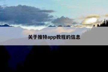 关于推特app教程的信息