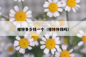 推特多少钱一个（推特挣钱吗）