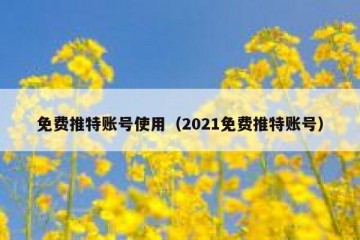 免费推特账号使用（2021免费推特账号）