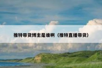 推特带货博主是谁啊（推特直播带货）