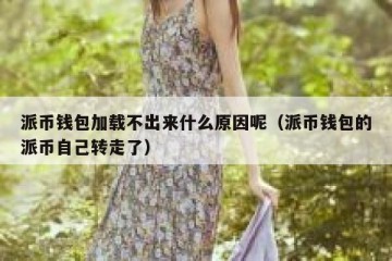 派币钱包加载不出来什么原因呢（派币钱包的派币自己转走了）