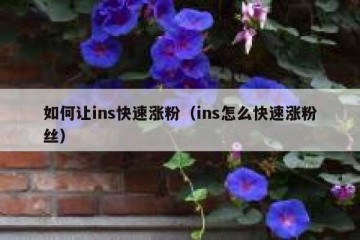 如何让ins快速涨粉（ins怎么快速涨粉丝）