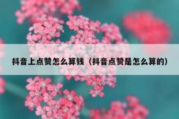 抖音上点赞怎么算钱（抖音点赞是怎么算的）