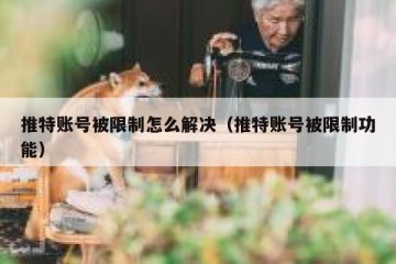 推特账号被限制怎么解决（推特账号被限制功能）