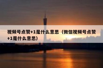 视频号点赞+1是什么意思（微信视频号点赞+1是什么意思）