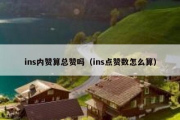 ins内赞算总赞吗（ins点赞数怎么算）