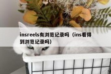 insreels有浏览记录吗（ins看得到浏览记录吗）