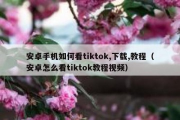 安卓手机如何看tiktok,下载,教程（安卓怎么看tiktok教程视频）
