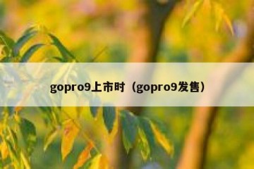 gopro9上市时（gopro9发售）